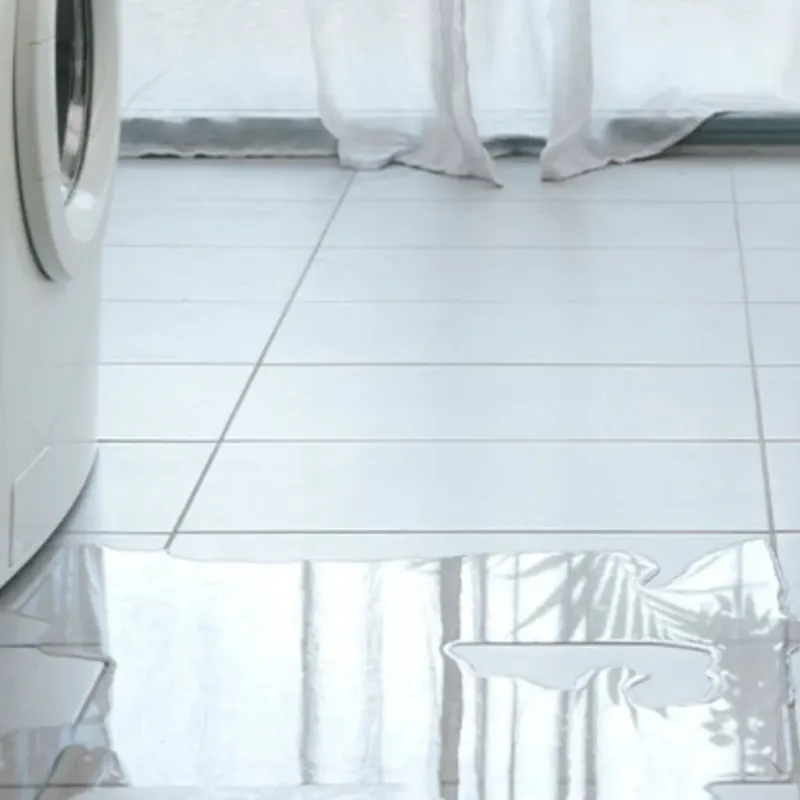 Appliance Leak Cleanup in Minneapolis, KS