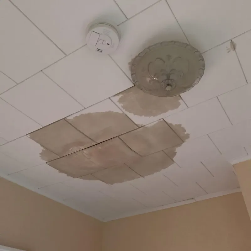 Ceiling Water Damage Repair in Minneapolis, KS