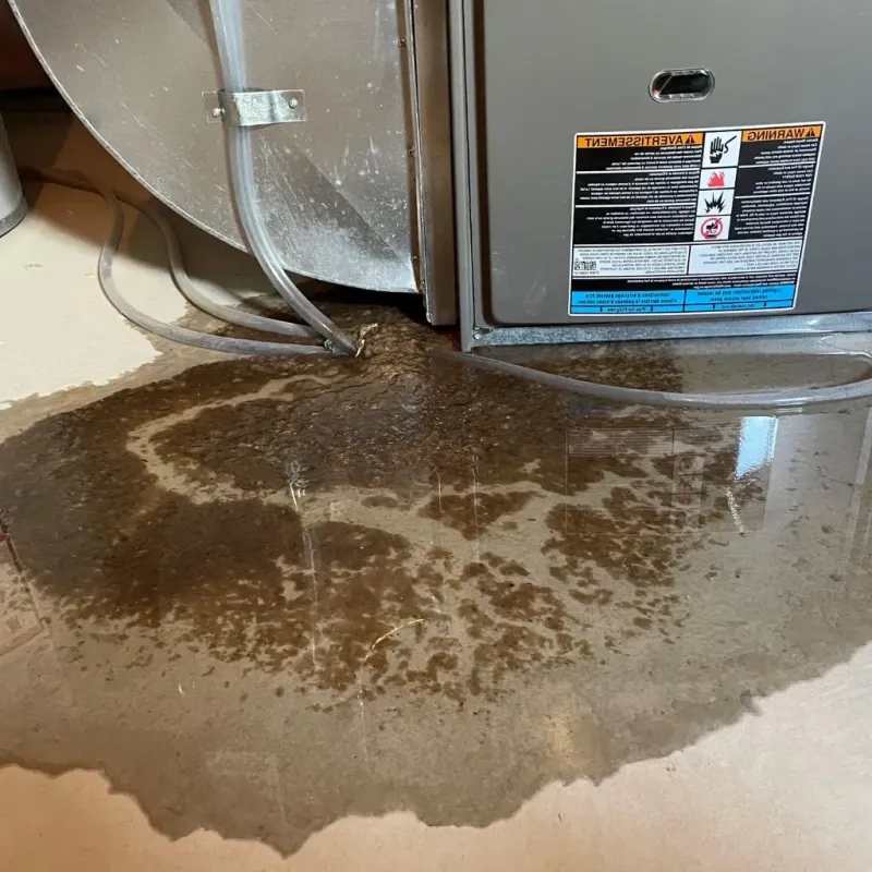 Pipe Burst and Leak Restoration in Minneapolis, KS